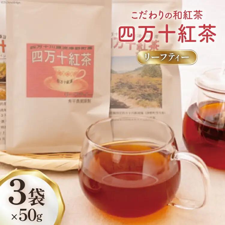 紅茶 四万十紅茶 リーフティー 50g 3袋