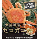 【ふるさと納税】茹でセイコガニ10杯【配送不可地域：離島】【1499167】