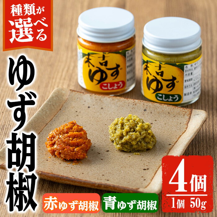 【ふるさと納税】＜種類が選べる＞ゆず胡椒(食べ比べセット／赤ゆず胡椒50g×2個・青ゆず胡椒50g×2個 or 青ゆず胡椒50g×4個 or 赤ゆず胡椒50g×4個) 胡椒 こしょう ゆず 柚子 ユズ 唐辛子 とうがらし 常温 常温保存【メセナ食彩センター】