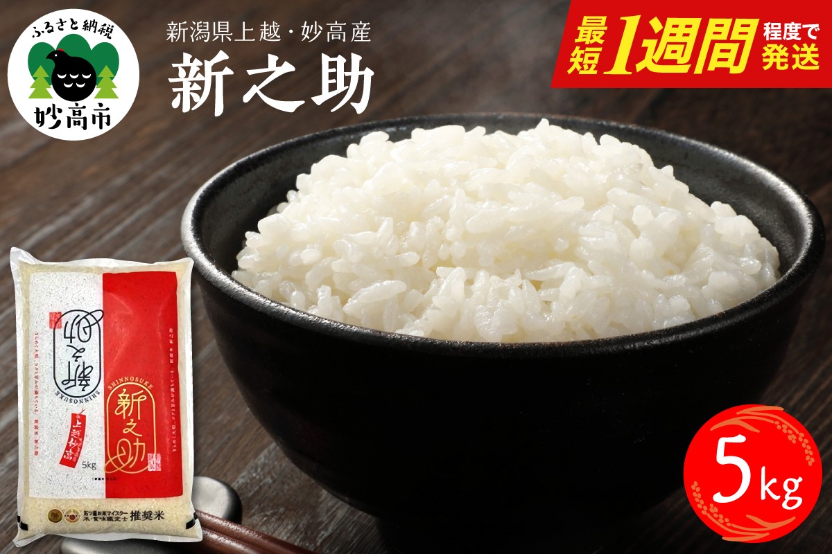 
                  最短1週間程度 発送 新之助 5kg 令和7年産 令和8年産 配送時期が選べる 新潟県 妙高 しんのすけ 米 白米 精米 お米 ごはん ライス
                