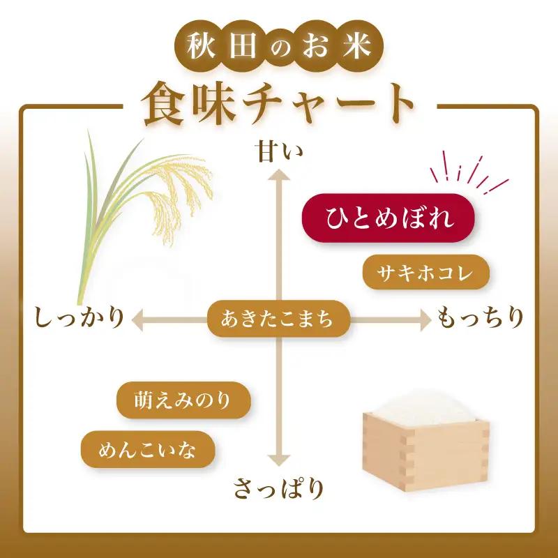 【新米予約】6か月 定期便 白米 ひとめぼれ 10kg ひとめぼれ