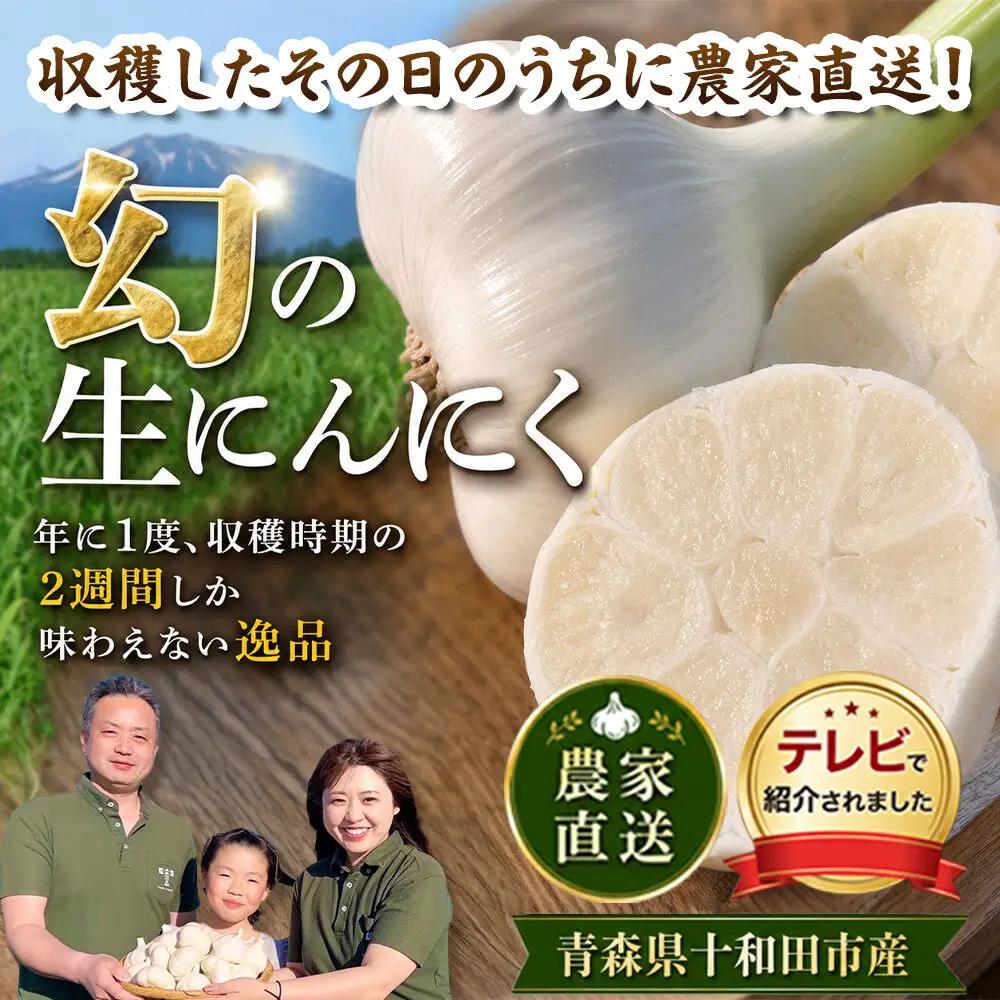 【2027年収穫分】先行受付【テレビ紹介】青森 幻の生にんにく10玉（農家直送・収穫期だけの限定品） 青森にんにくファーム