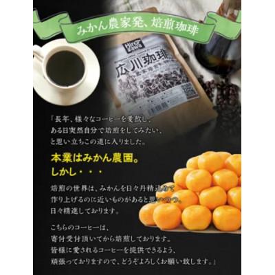 ふるさと納税 広川町 広川珈琲【豆】1000g 小分けパック ( ジッパー付 ) nuk108-mame-500 |  | 01