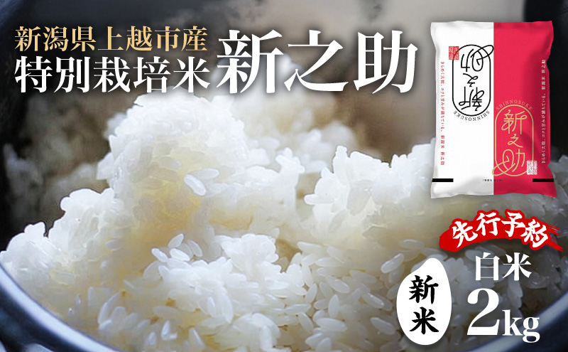 先行予約 令和8年 新米 新潟県上越市産 特別栽培米 新之助 2kg 2キロ お米 コメ  ふぁーむ大地