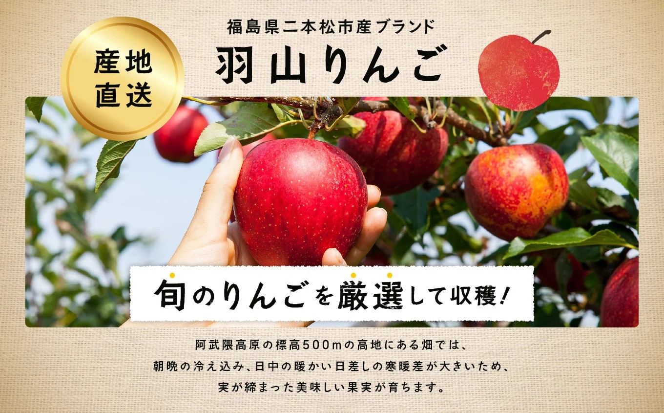 《2026年9月下旬以降順次発送》羽山りんご 品種おまかせ(早生・中早生)  3㎏ りんご リンゴ 林檎 国産りんご フルーツ 果物 人気 ランキング おすすめ ギフト 故郷 ふるさと 納税 福島 ふ