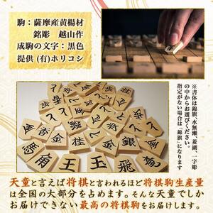 将棋駒 ( 銘駒 彫り駒 ) 山形県 天童市 08-22-012