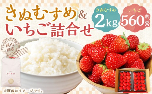 【令和7年産】 新米・精米 きぬむすめ2㎏&いちご詰合せ（約280g×2パック） 【2026年1月上旬から5月上旬頃発送予定】いちご お米 白米 セット 冷蔵 岡山県 美咲町