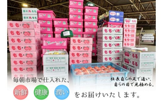 【全3回】 フルーツ定期便 温州みかん いちご せとか デコポン 小原紅早生 さぬき姫いちご みかん 蜜柑 オレンジ 苺 イチゴ 不知火 柑橘 高級 果物 フルーツ 定期便 デザート 果実 青果 甘い