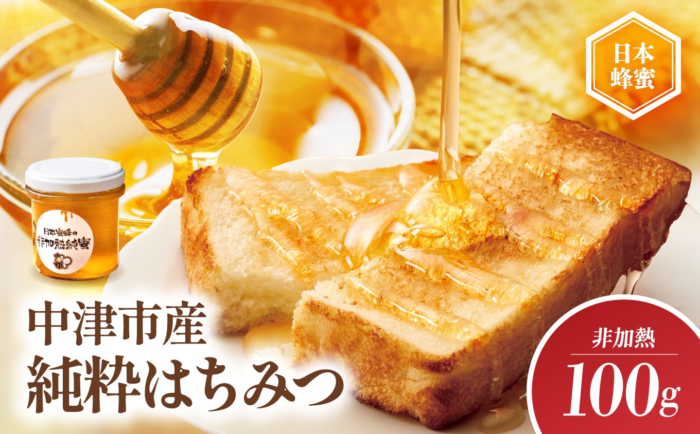 
                  中津市産 日本蜜蜂の非加熱純蜜 100g | 国産 日本 蜂蜜 非加熱 はちみつ ハチミツ 大分県 中津市
                