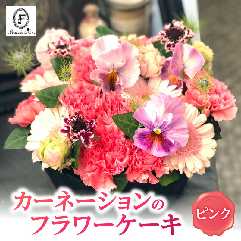 【ふるさと納税】ピンク カーネーション ふわもこ カーネーションケーキ フラワーアレンジ 花瓶不要 そのまま飾れる アレンジメント バースデーケーキ風 プレゼント用 贈り物 還暦 記念日 お誕生日 お祝い 母の日 愛知県 碧南市 送料無料