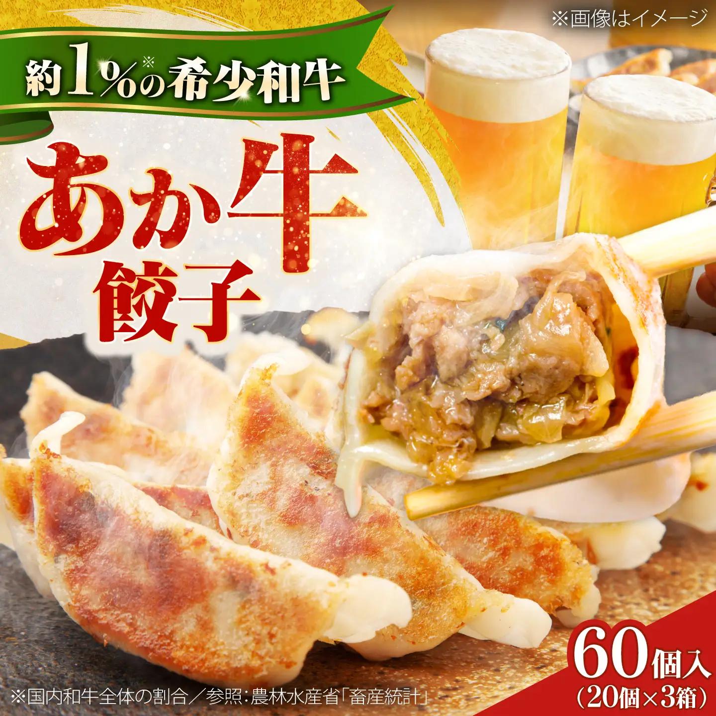 熊本和牛 あか牛 ぎょうざ セット 60個入り 餃子 BHAS007 餃子