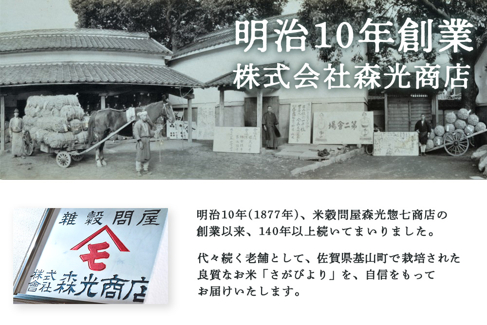 【3カ月定期便】☆2010年から連続特A受賞☆ 令和7年産 さがびより 5kg【特A米 さがびより 米 お米 ごはん ご飯 白米 精米 ブランド ランキング 県産米 美味しい kome okome 基