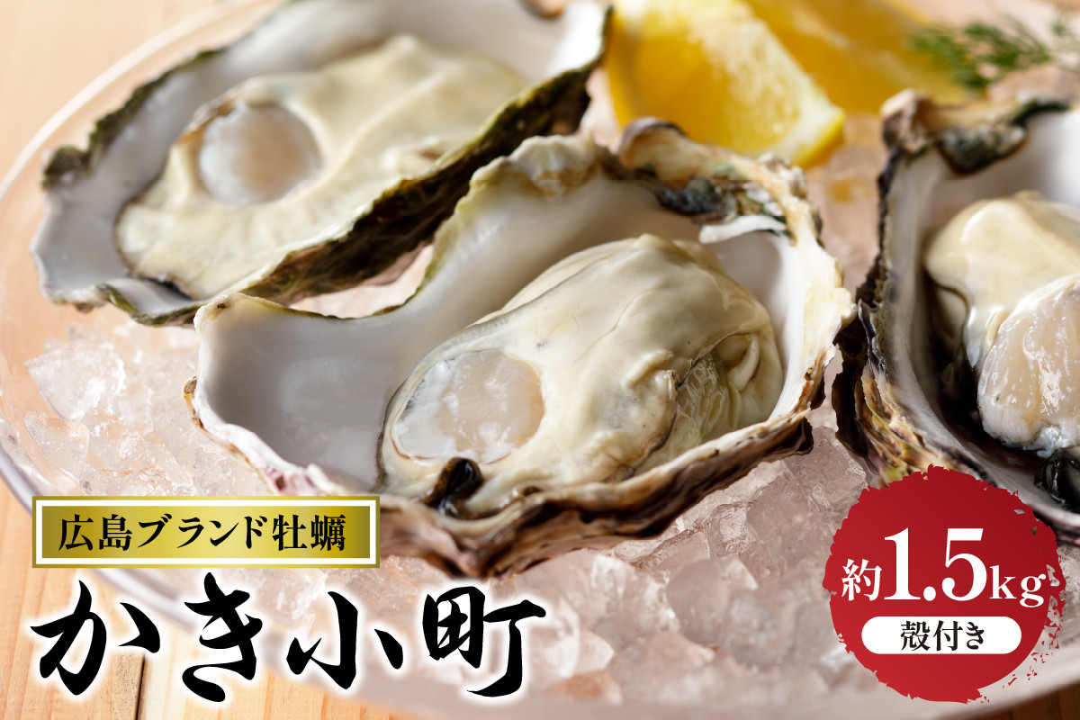 
            【選べる配送時期】丸十水産 広島ブランド牡蠣 殻付き かき小町 約1.5kg  (8～10個)
          