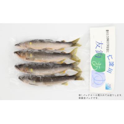 ふるさと納税 佐川町 【10-28尾】鮎屋仁淀川の仁淀ブルー友釣り天然鮎1000g【2025年6月アユ漁解禁後発送】 |  | 03
