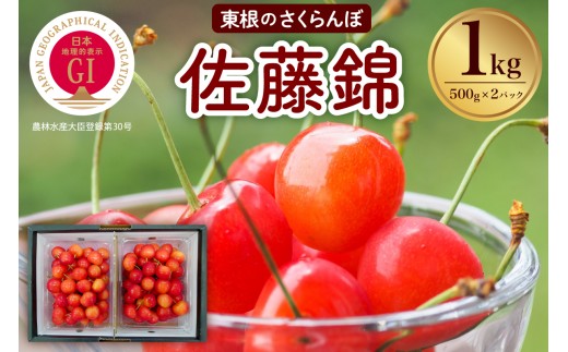 【2026年産 先行予約】山形東根市産 GI さくらんぼ「佐藤錦」1kg 滝口観光果樹園提供 hi030-042
