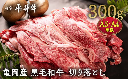 
            【7営業日以内発送】平井牛A5・A4 切り落とし 300g＜京都丹波牧場＞亀岡産黒毛和牛◇ ｜ 希少 和牛 冷凍 真空 スライス すき焼き しゃぶしゃぶ 焼肉 牛肉 送料無料（牛肉 ブランド牛 高級 和牛 国産牛 平井牛 切り落とし 牛肉切り落とし 小分け 牛肉 冷凍 おすすめ ランキング 牛肉 切り落とし） 
          