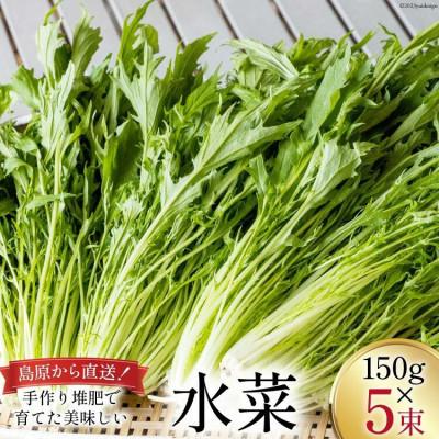 ふるさと納税 島原市 【毎月定期便】ほうれん草・水菜・小松菜の詰め合わせセット(15束)全12回 |  | 01