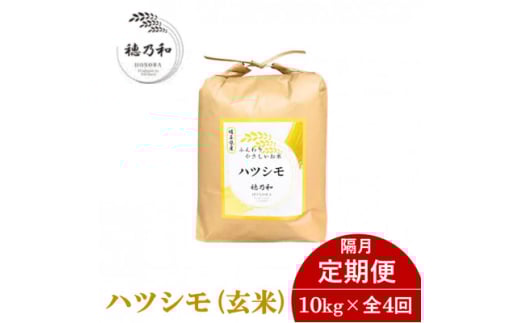 ＜発送月固定定期便＞＜先行予約＞岐阜県産ハツシモ(玄米)10kg＜隔月定期便＞全4回【4068426】
