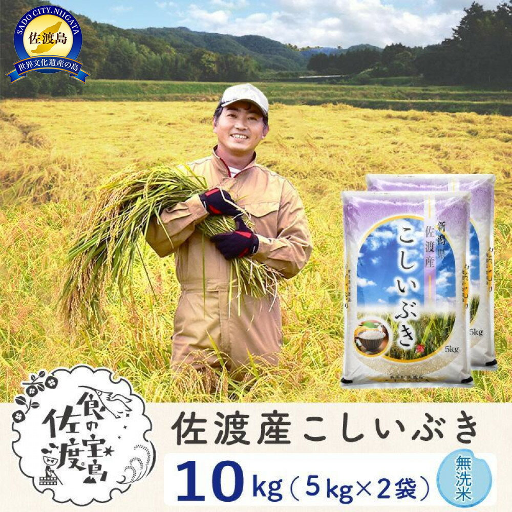 【ふるさと納税】佐渡島産こしいぶき 無洗米10Kg(5Kg×2袋） 令和7年 ～農薬5割減～ 農家直送 | お米 こめ 白米 食品 人気 おすすめ 送料無料