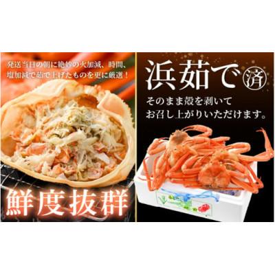 ふるさと納税 越前町 【訳あり】≪浜茹で≫越前産 紅ずわいがに 約700g × 4杯 食べ方しおり付【12月発送分】 |  | 01
