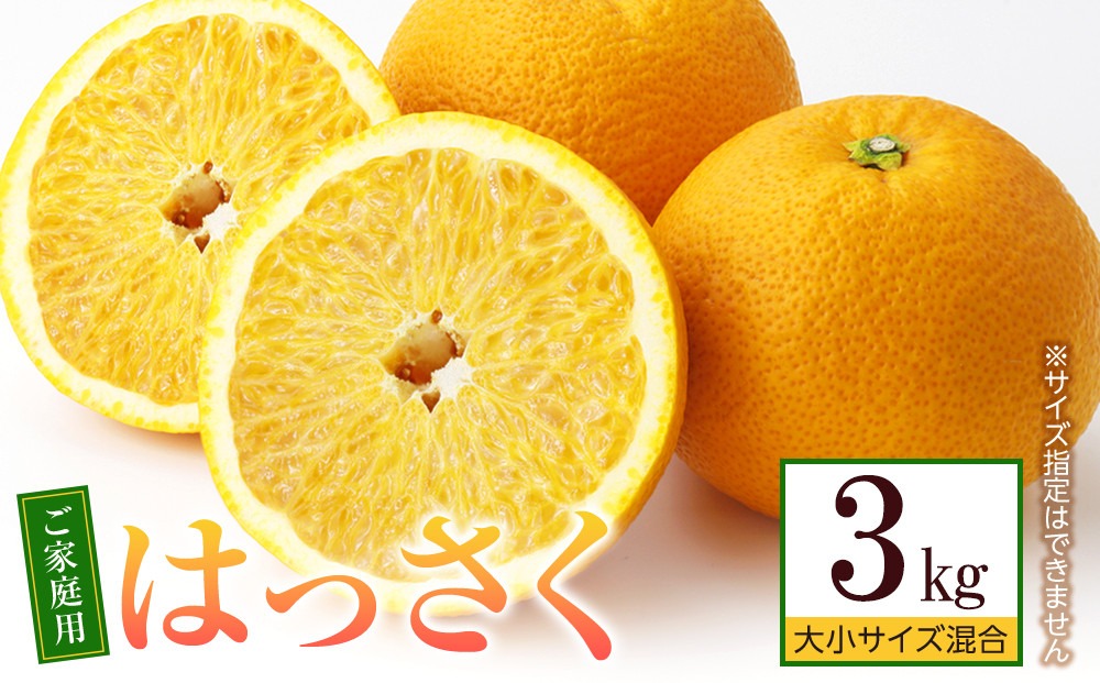 ［先行予約］ご家庭用 はっさく約3kg 大小サイズ 混合   FB03