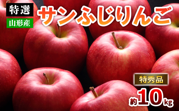 
            【特選】山形のサンふじりんご 約10kg 特秀品(20～50玉) FZ19-141
          
