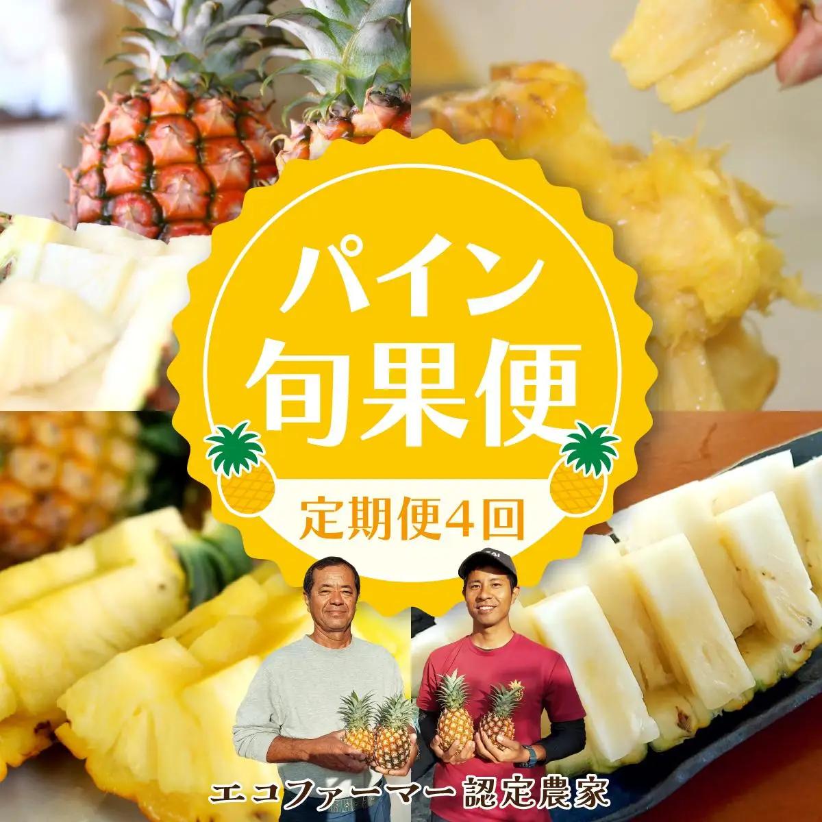 定期便 4回 パイナップル 旬果便 