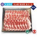 【ふるさと納税】氷温熟成【大山物語】大山豚 焼肉用 肩ロース 800g 冷凍（大山ブランド会）【19-AF9】ホクニチ 精肉 豚肉 焼肉 ヤキニク 焼き肉 おかず 柔らかい お取り寄せ グルメ ご当地 国産 鳥取県産 鳥取県 米子市