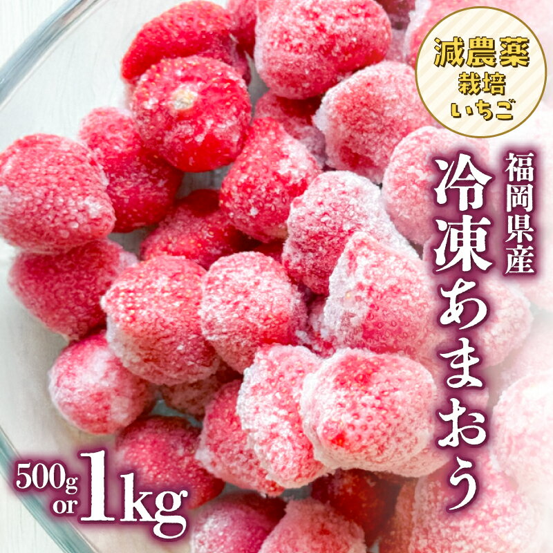 【ふるさと納税】【選べる内容量】冷凍いちご 大月いちご園（500g・1kg） あまおう いちご 苺 イチゴ フルーツ くだもの 朝採り 冷凍 アレンジ 小分け 食べきり 福岡県 八女市