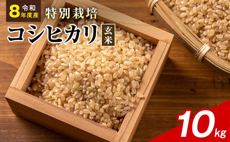 令和8年産 特別栽培米 コシヒカリ 玄米 10kg 静岡県産 色彩選別済 食に意識高い方へオススメ