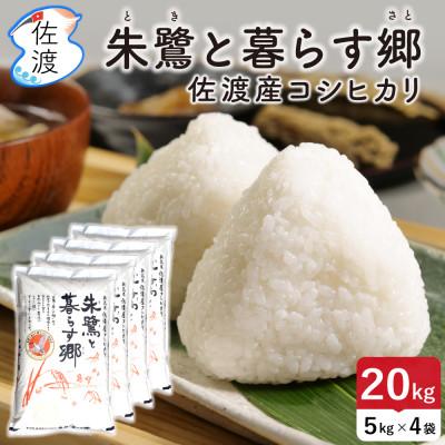 ふるさと納税 佐渡市 佐渡島産コシヒカリ「朱鷺と暮らす郷」無洗米20kg(5kg×4袋) 令和7年産 特別栽培米