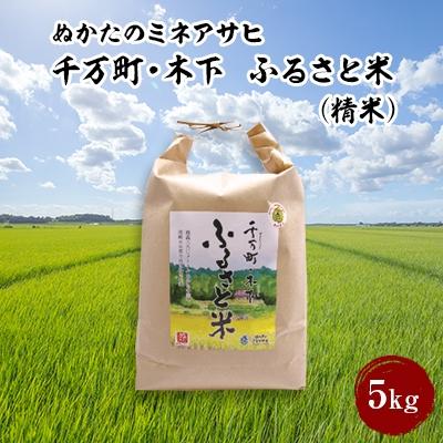 ふるさと納税 岡崎市 〈ぬかたのミネアサヒ〉千万町・木下 ふるさと米(精米)5kg