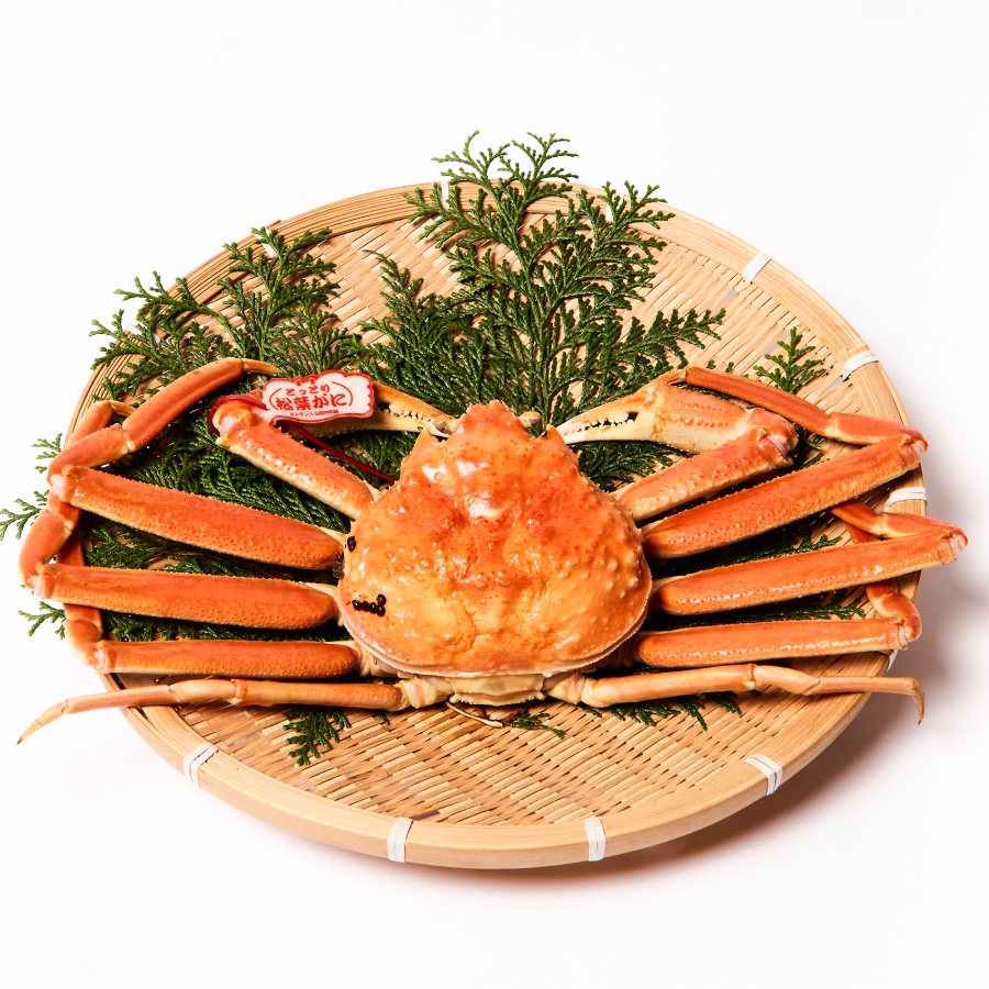 ＜マルツ＞【タグ付き】活〆ボイル「松葉蟹」（中）700g