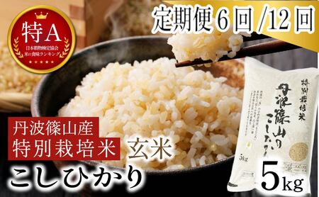 《定期便12回》 玄米 コシヒカリ 特A 丹波篠山産 5kg  特別栽培米 減農薬 令和7年産 コシヒカリ[SUBSC-AQ110Y-2601]