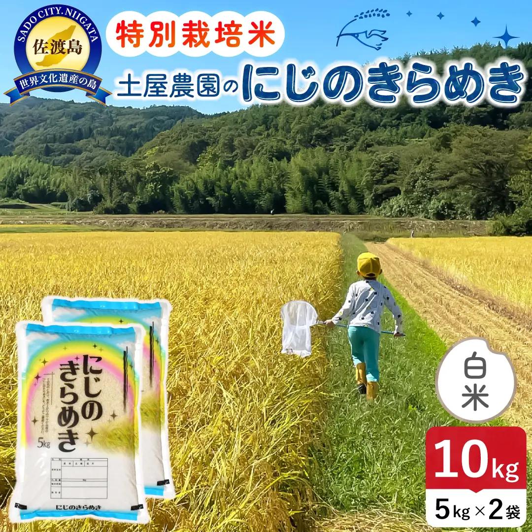 佐渡島産にじのきらめき 白米 10kg 令和8年産 特別栽培米 土屋農園 195962-041402