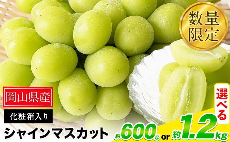 
            秀品 シャインマスカット 選べる 約600g 1房 約1.2kg 2房《9月中旬-11月上旬頃出荷》 st-p
          