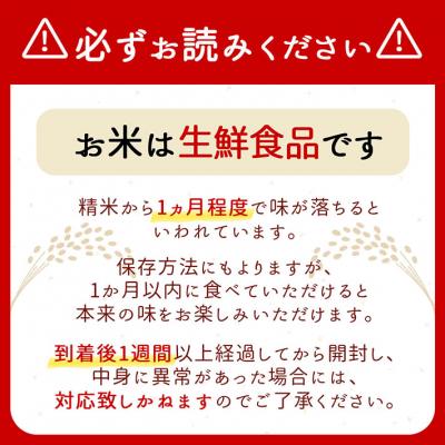 ふるさと納税 庄内町 <11月中旬発送>山形米6か月定期便!雪若丸無洗米 10kg(入金期限:2025.10.25) |  | 03