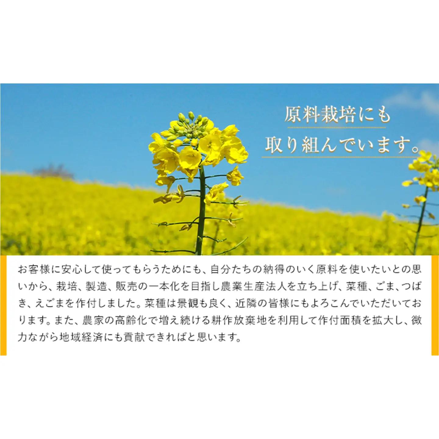 【隔月3回定期便】堀内製油の地あぶら (なたね油) 825g×6本