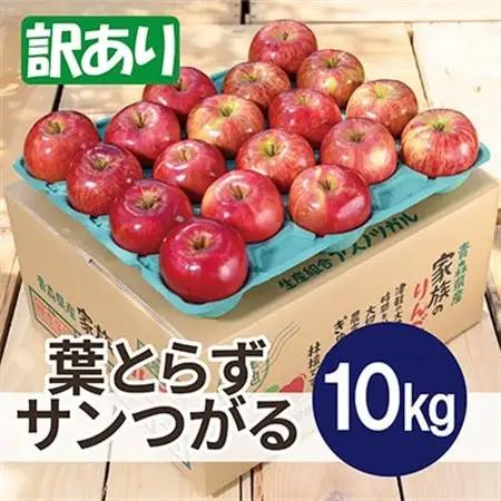【26年9月より順次発送】平均糖度12度以上! 葉とらずサンつがる 約10kg 訳あり クール便_果物・フルーツ りんご  リンゴ 林檎_【配送不可地域：離島・沖縄県】【1611759】