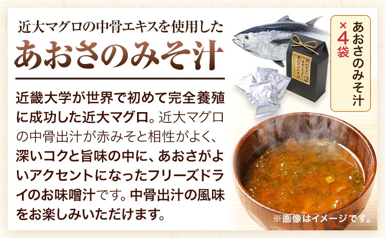 近大は美味しい 近大の馳走詰合せ 《7月中旬から8月下旬に出荷予定(土日祝除く)》和歌山県 日高町 鯛めしの素 あおさのみそ汁 金賞健康米 アーマリン近大