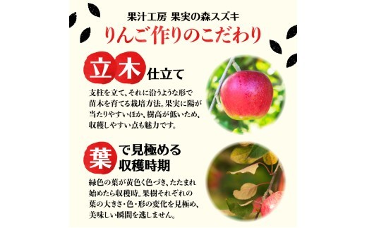 大江の恵 山ぶどう3本ギフト(各500ml)