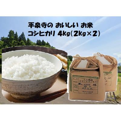 ふるさと納税 勝山市 【先行予約】令和8年産 コシヒカリ4kg