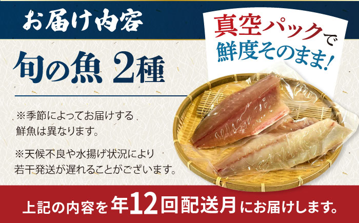 【全12回定期便】金澤仕立て 鮮魚ボックス 旬の魚2種 鮮魚 簡単 旬 海鮮 真空 冷蔵 五島市/金沢鮮魚 [PEP011]
