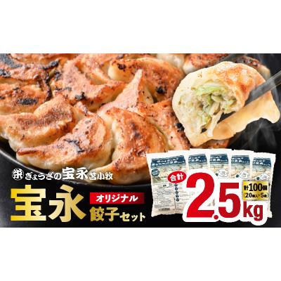 ふるさと納税 苫小牧市 【ぎょうざの宝永】宝永餃子(500g×5袋)合計2.5kg | 