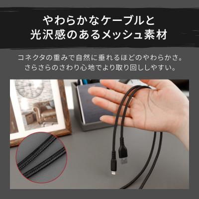 ふるさと納税 海老名市 (オウルテック) 急速充電2.4A/データ転送 Type-A to Lightningケーブル 1m |  | 03