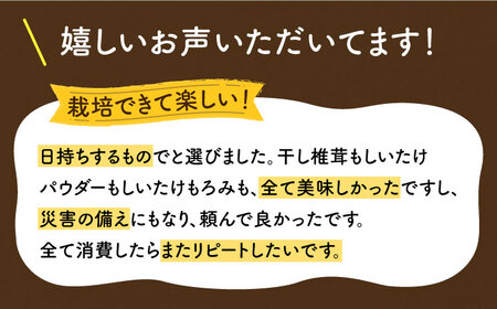 【全3回定期便】平戸きのこ乾物詰合せ　【きのこ屋】[KAD282]