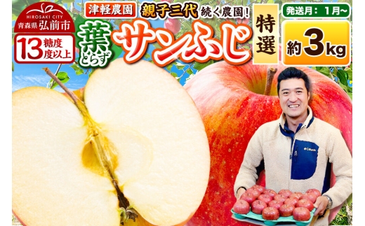 【27年1月～発送】りんご 葉とらずサンふじ【特選】約3kg 8～12玉程度【糖度13度以上】津軽農園 先行受付 青森県 弘前市 果物 フルーツ 林檎 リンゴ くだもの ギフト 贈り物 [先行予約 産地直送 アップル おいしい 果実 美味 甘い 赤色]