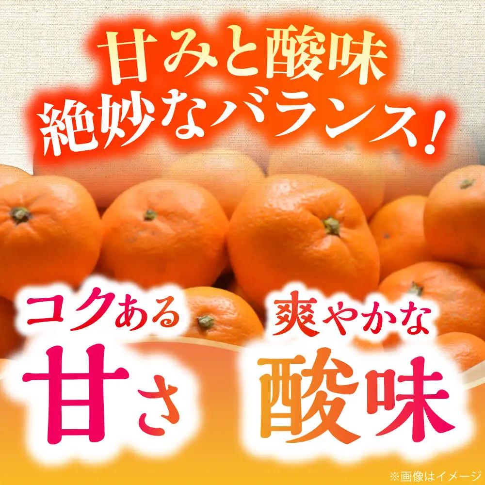 【先行予約】＜サイズおまかせ＞高知県産温州みかんA級品 約3kg ＜2026年11月上旬～2026年12月下旬頃発送＞/ みかん 柑橘 オレンジ 高知県 温州 【株式会社にしごみ】[ATEA010]