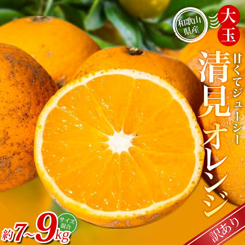 【ふるさと納税】 【訳あり】 森本農園の手選別 大玉清見オレンジ 約7kg 9kg 和歌山県産 サイズ混合 【北海道・沖縄・離島配送不可】【2026年2月上旬～5月中旬頃に順次発送】【BV-mrmt077-078】