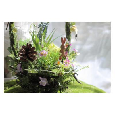 ふるさと納税 北上市 空気をきれいにする　森の陽たまり　大 |  | 01